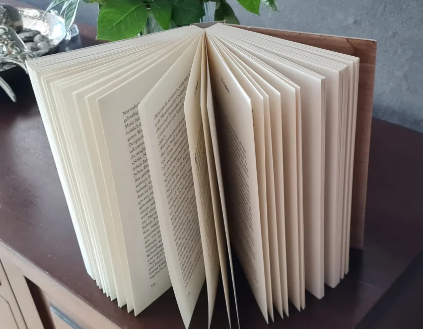 Lesung - Harzer Angst - 