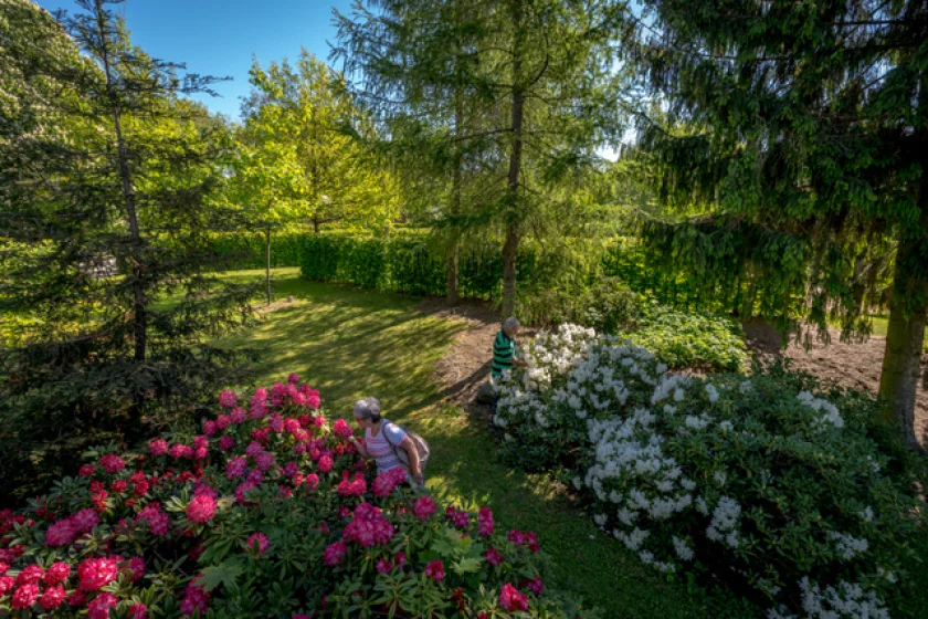 Literaturcafé im Bürgerpark - "Geist und Muse bei Gleim: Dichtergärten im 18. Jahrhundert"