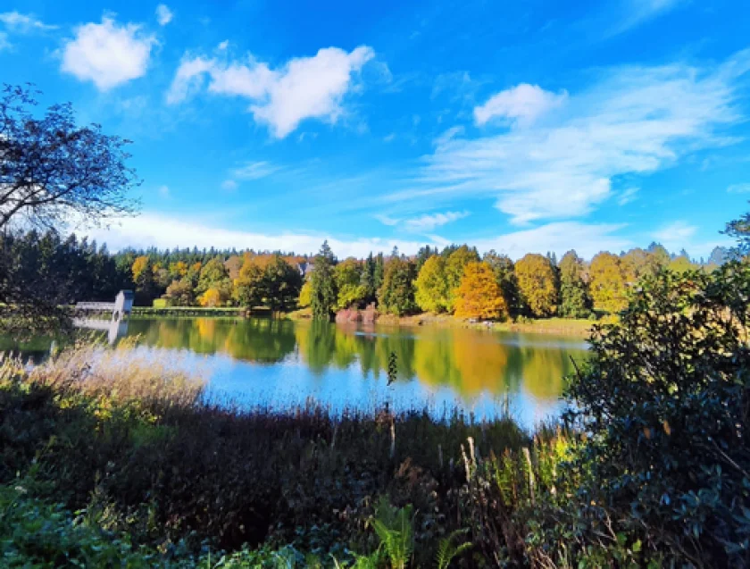 Märchenpicknick "1000 und eine Nacht" - 