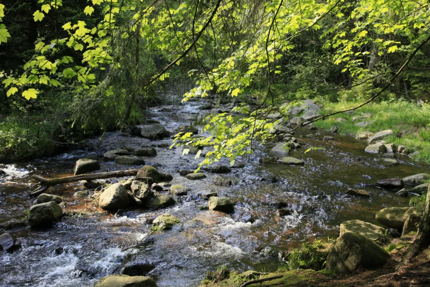 Märchenwoche - Wanderung zur Bode mit Edelsteinsuche "Bode-Achate"