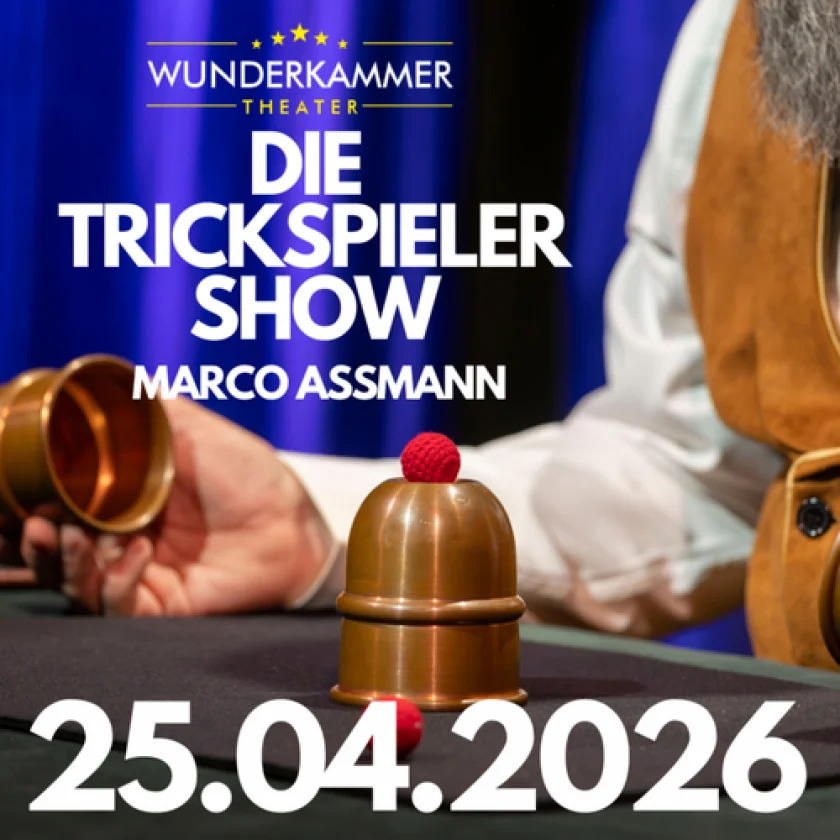 MARCO ASSMANN | Die Trickspieler Show