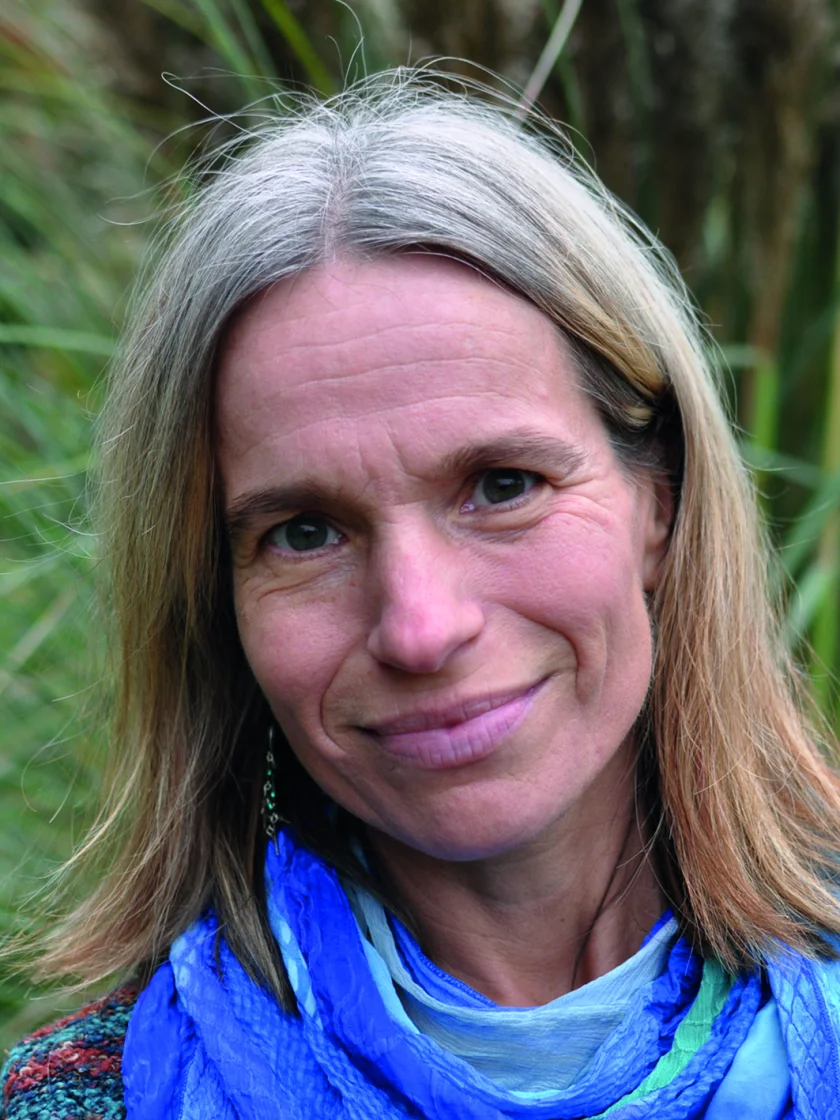 Meditationsabend über Zoom: Die Heilkraft der Krafttiere auf den Menschen in Verbindung mit den Chackren