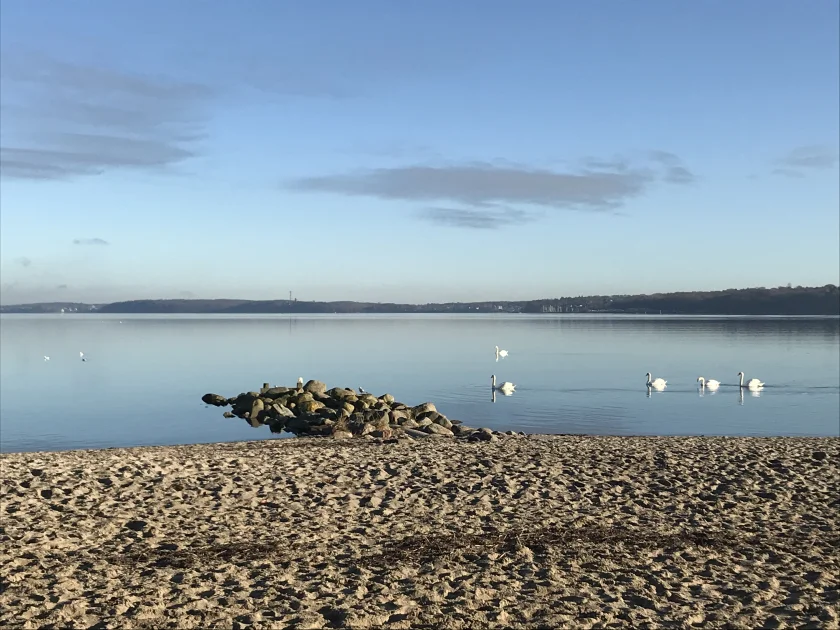 Mensch ärgere dich nicht - Die Spielregeln des Lebens verstehen