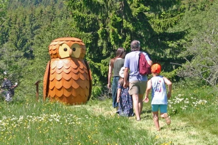 Mit dem Ranger auf dem Löwenzahn-Entdeckerpfad