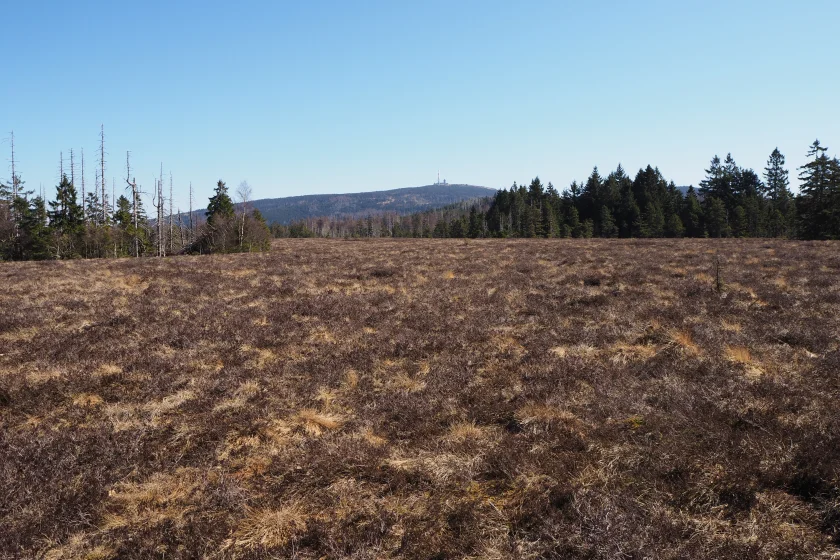 Mit dem Ranger auf Goethes Spuren zum höchsten Gipfel