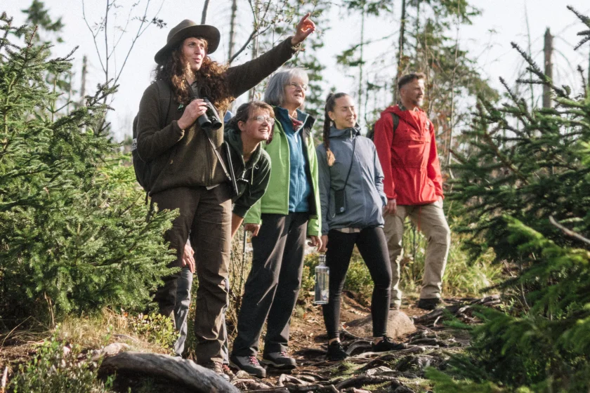 Mit dem Ranger den neuen Wald entdecken