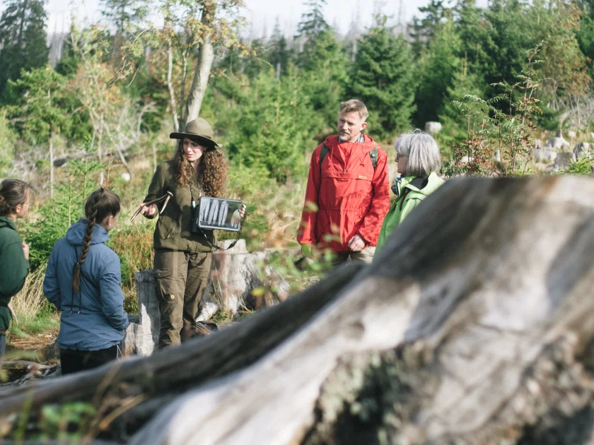 Mit den Rangern auf die Achtermannshöhe