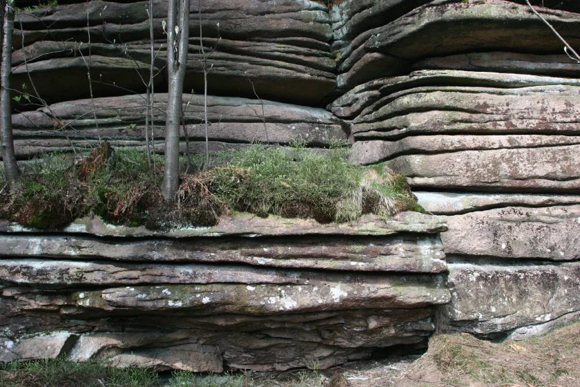 Mit den Rangern auf Klippenwanderung