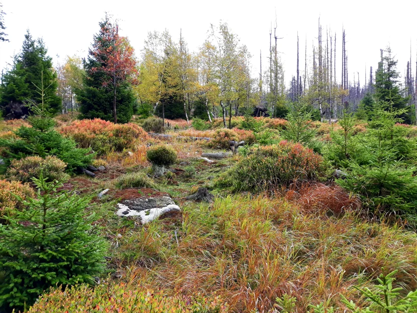 Mit den Rangern durch die Hochlagen des Nationalparks