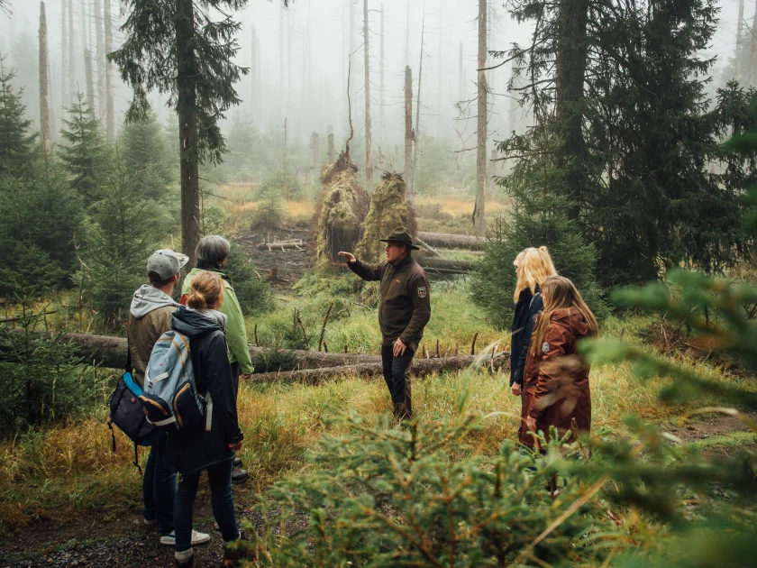 Mit den Rangern durch die Wildnis des Brunnenbachtals