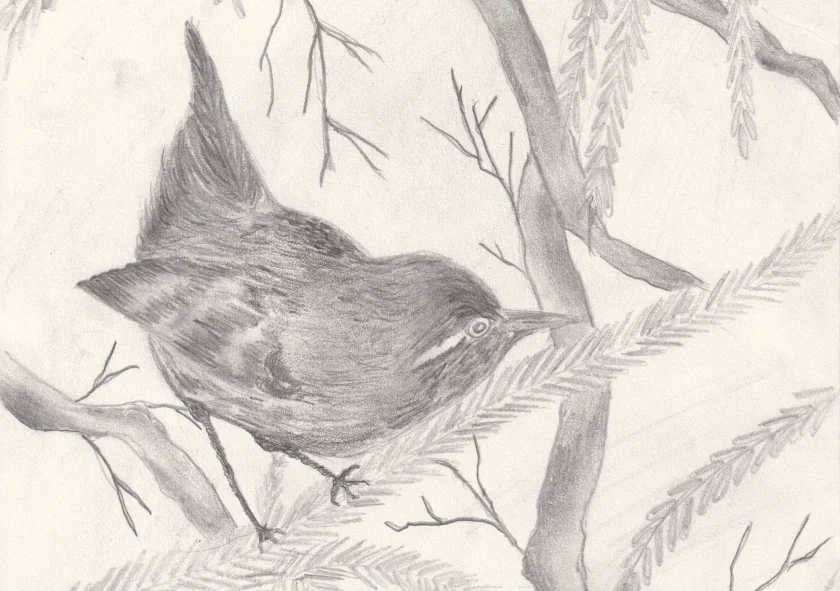 Mitmach-Lesung in der Mitmach-Buchhandlung