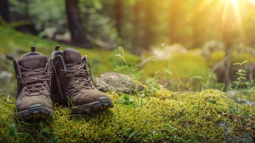 Mitsommerwanderung mit dem Harzklub Zorge