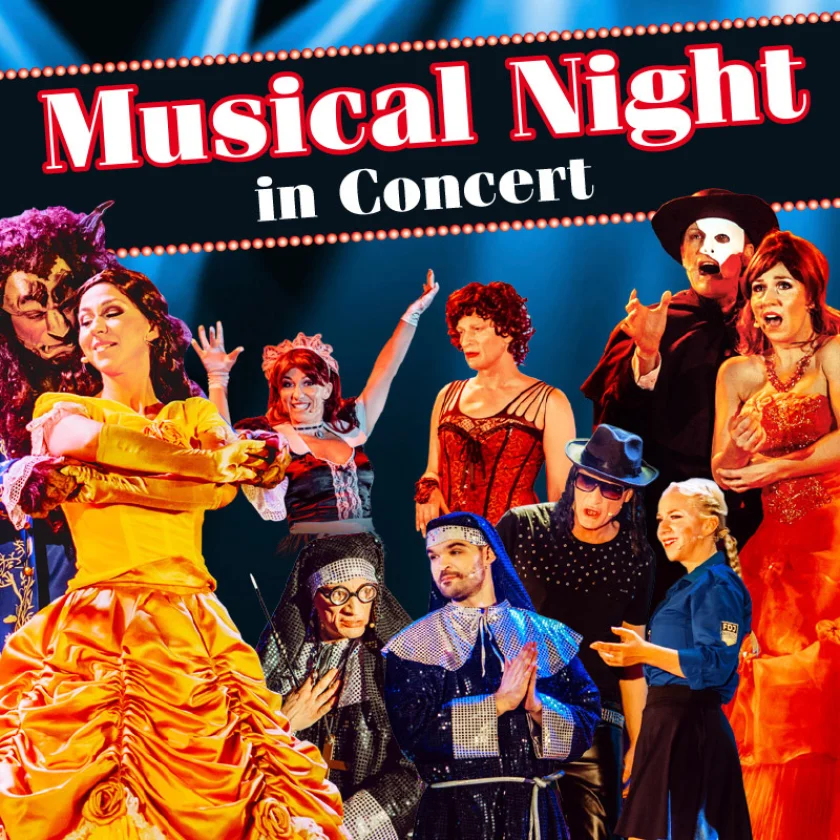 Musical Night in Concert - 