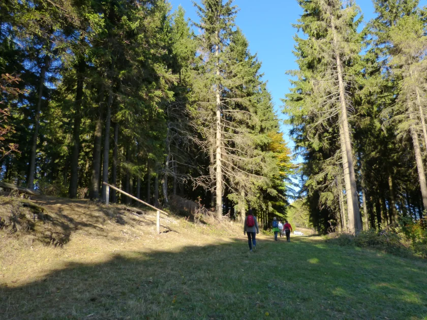 Nachmittagswanderungen mit dem Harzklub-Zweigverein Bad Sachsa