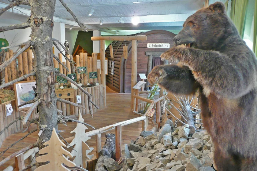 Nationalparkausstellung »Wildnis«