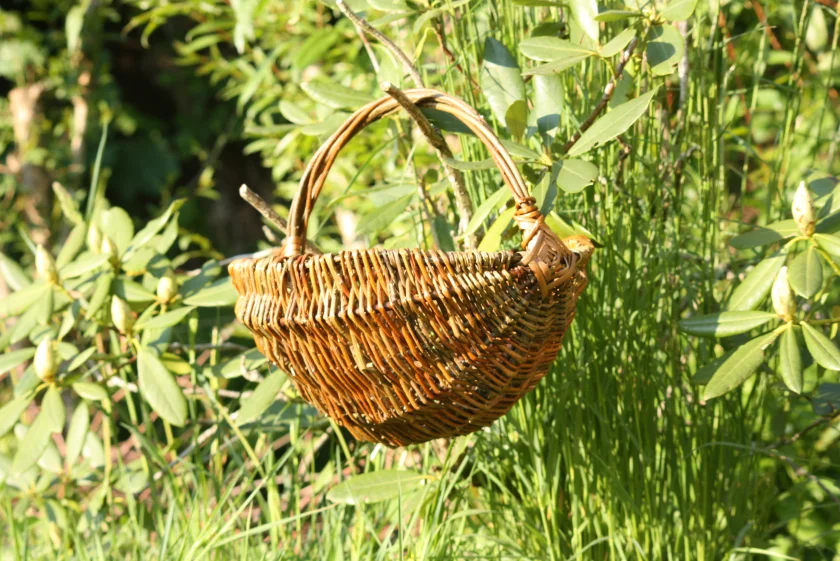NaturZeit: Rahmenkorb flechten