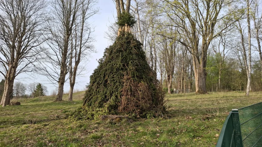 Osterfeuer in Benneckenstein - neben dem Kinderspielplatz am Wilhelm-Schmidt-Park