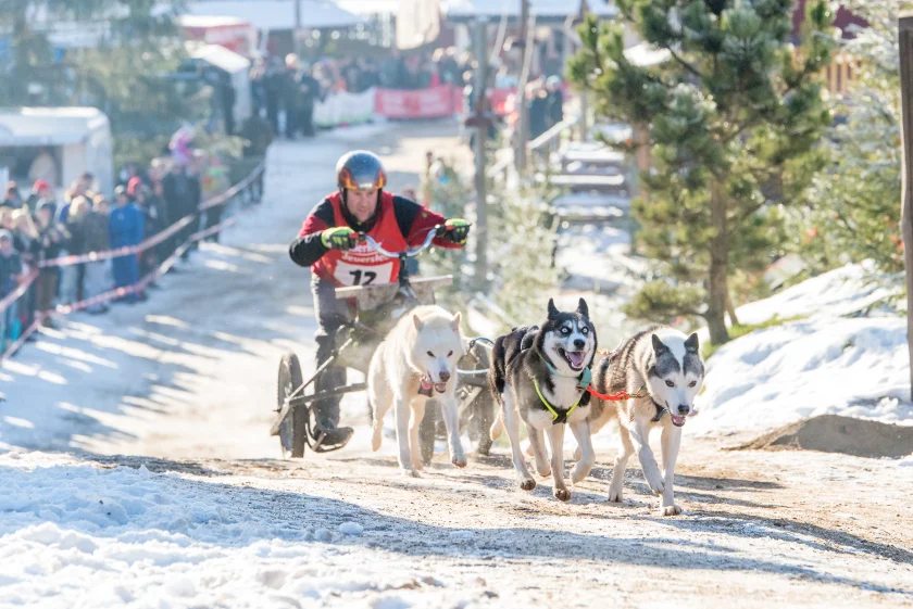 Pullman City Quest - 