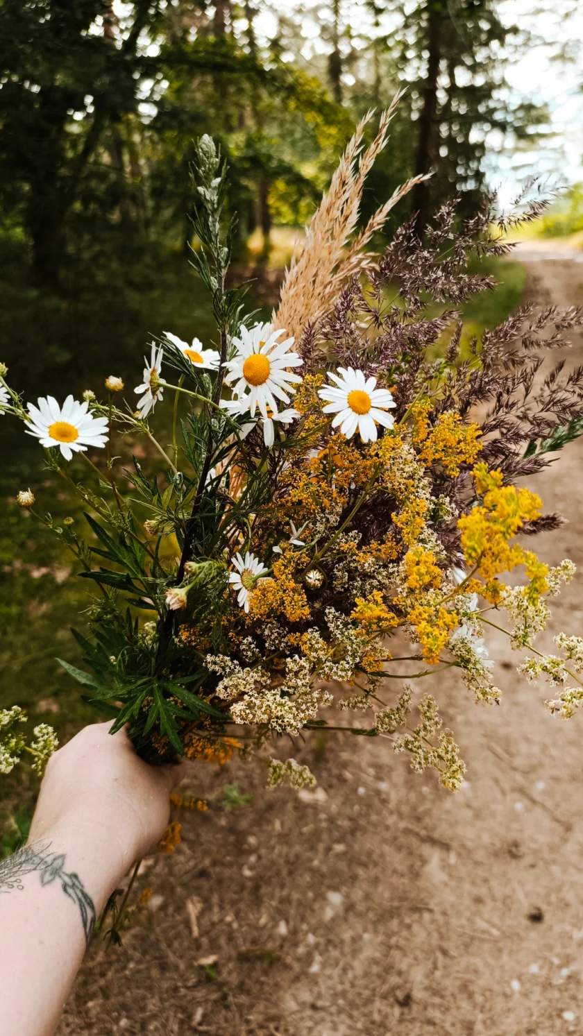 Räucherkräuterwanderung in Langenstein - 