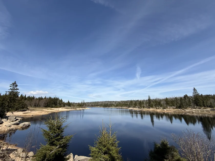 Rund um den Oderteich - 
