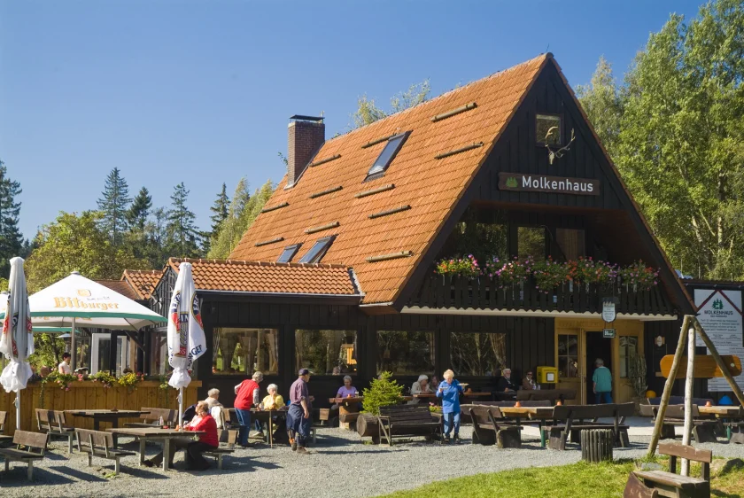 Runde um den Hasselkopf, Hasselteich und Molkenhaus