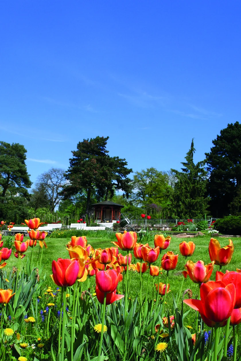Saisoneröffnung mit großem Garten- und Pflanzenmarkt