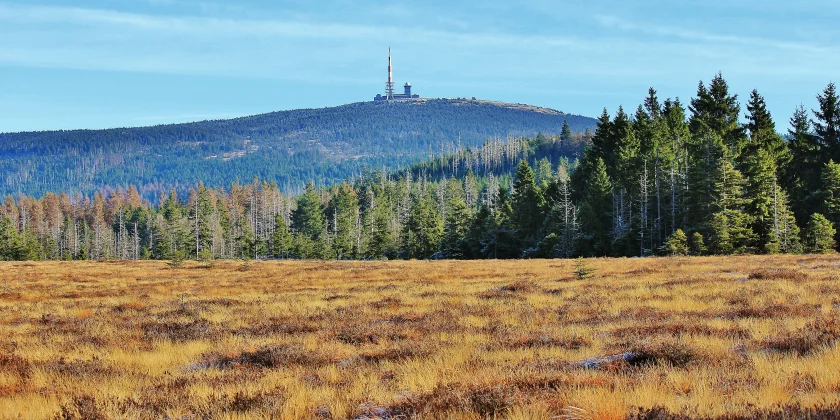 Sieben-Moore-Tour – mit dem Ranger unterwegs