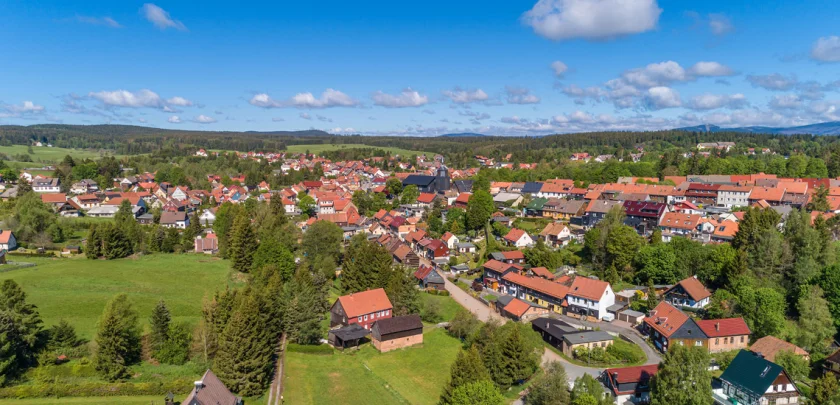 Sommersonnenwende - mit dem Wildpflanzenverein Benneckenstein