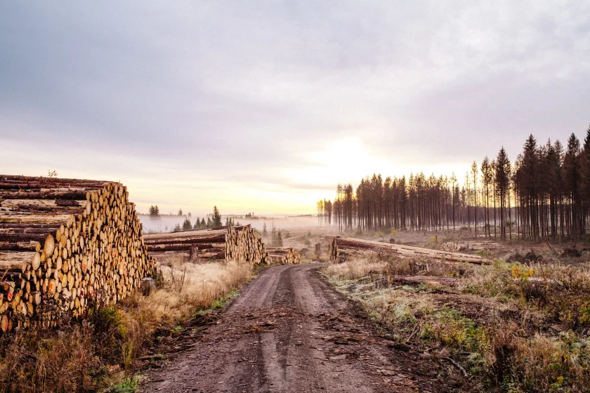 Sportliche Wanderung - Wanderwoche St. Andreasberg