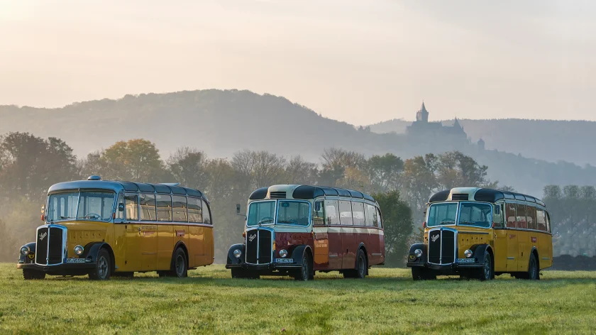 Stadtrundfahrt mit historischen Oldtimerbusse zum Schokoladenfest - Stadtrundfahrt mit historischen Oldtimerbusse zum süßen Fest in Wernigerode