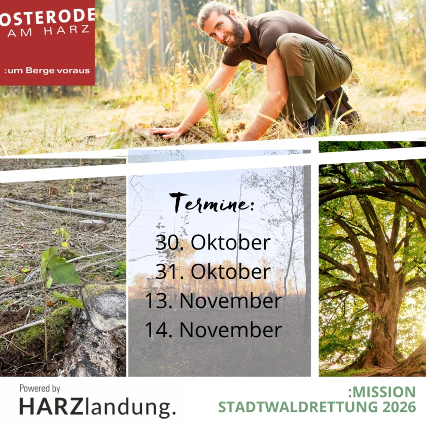 Stadtwaldrettung 2026