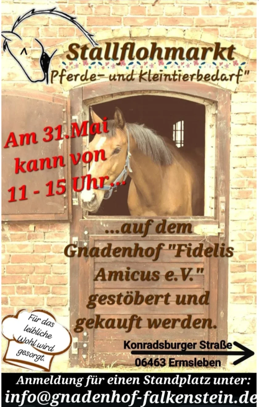 Stallflohmarkt - Stallflohmarkt auf dem Gnadenhof