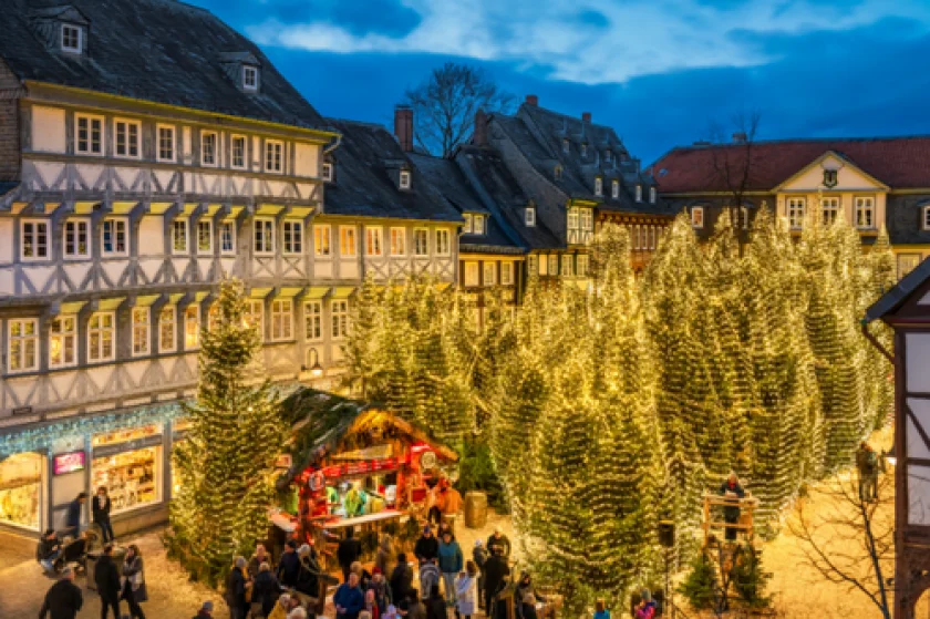 Stimmungsvoller Weihnachtswald