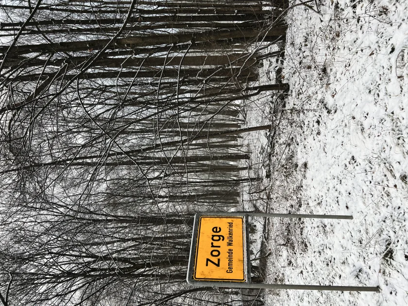 Stunde der Wintervögel (Zählung vom 12. bis 16. Januar 2026 )