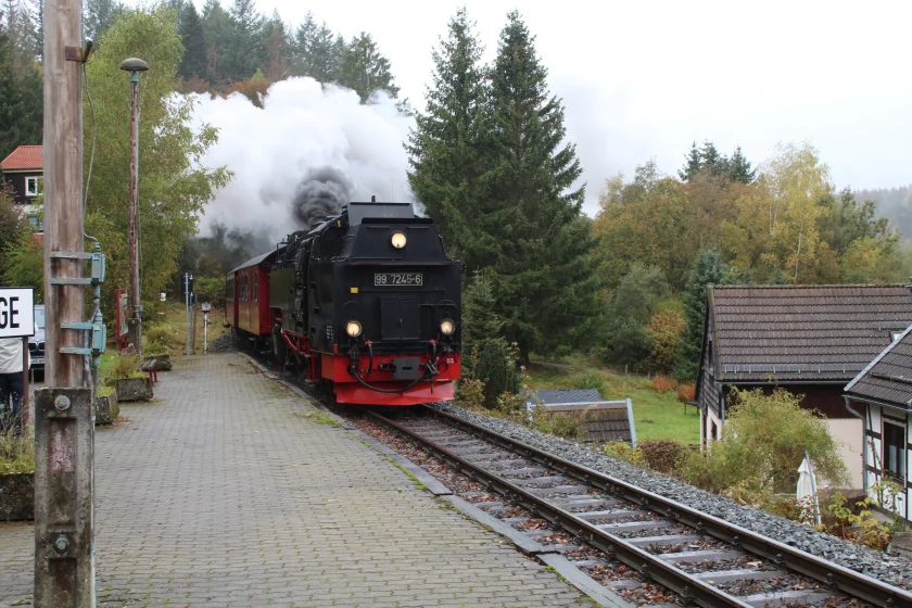 Themenwanderung: Harzer Grenzweg und Fahrt mit dem Dampfzug der Harzer Schmalspurbahn