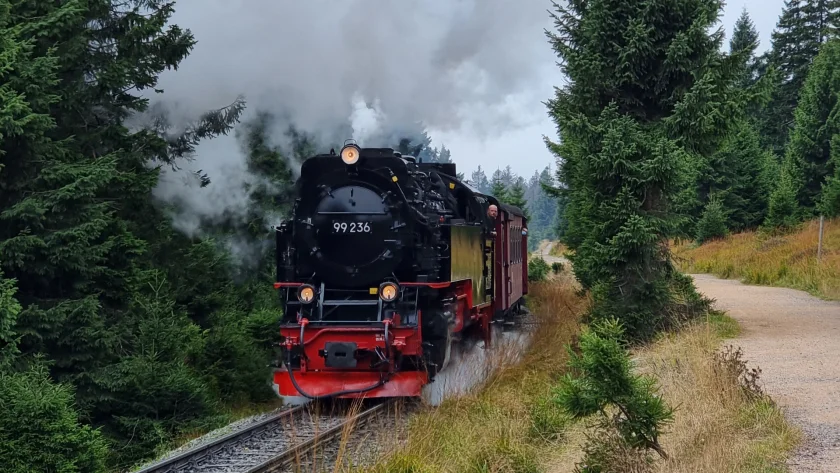 „Tierische Entdeckertour – Zuhause bei Dampflok & Heuhopser“ - „Tierische Entdeckertour – Zuhause bei Dampflok & Heuhopser“
