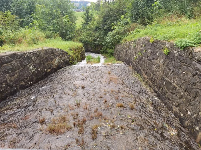 Unter der Teichlandschaft von Buntenbock - Oberer Hasenbacher Wasserlauf