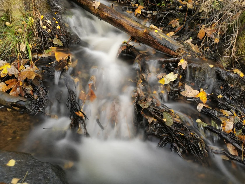 Urwald, Klippen, wilde Wasser