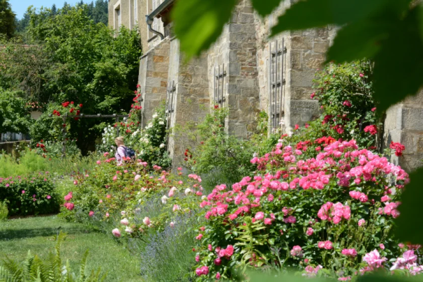 Von Hollerbusch bis Rosenreigen | GartenSonntagsFührung - 