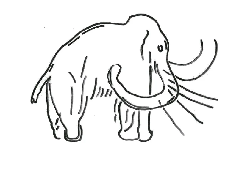 Vortrag von Firouz Vladi: Die eiszeitliche Fauna um Osterode - Der Heimat- und Geschichtsverein Osterode, lädt am Donnerstag, 19. Februar 2026, ab 19.00 Uhr, zu einem Vortrag in das Museum im Ritterhaus, Rollberg 32, ein. Der Diplom-Geologe Firouz Vladi wird über die eiszeitliche Fauna um Osterode berichten.