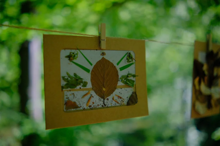 Waldbaden & Wildkräuter im Sommer