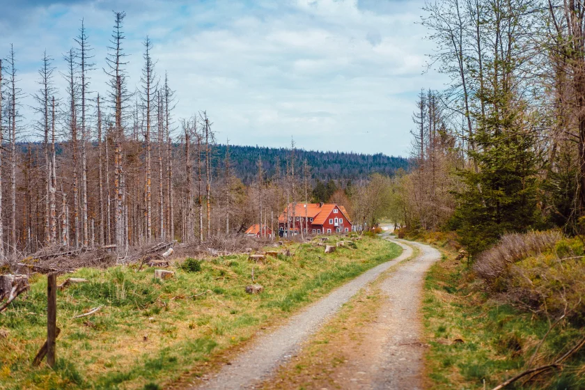 Wanderung des Harzklub Zweigvereins