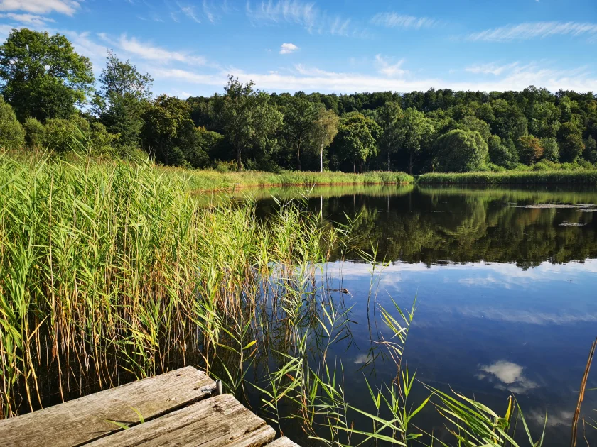 Wanderung durch die Walkenrieder Teichlandschaft