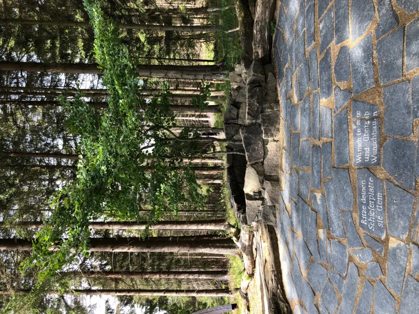 Wanderung mit Waldpädagogin Christine Laufer