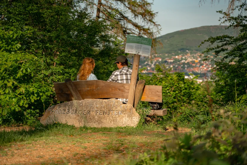 Wanderung zum Ahrendsberger Stieg und Elfenstein