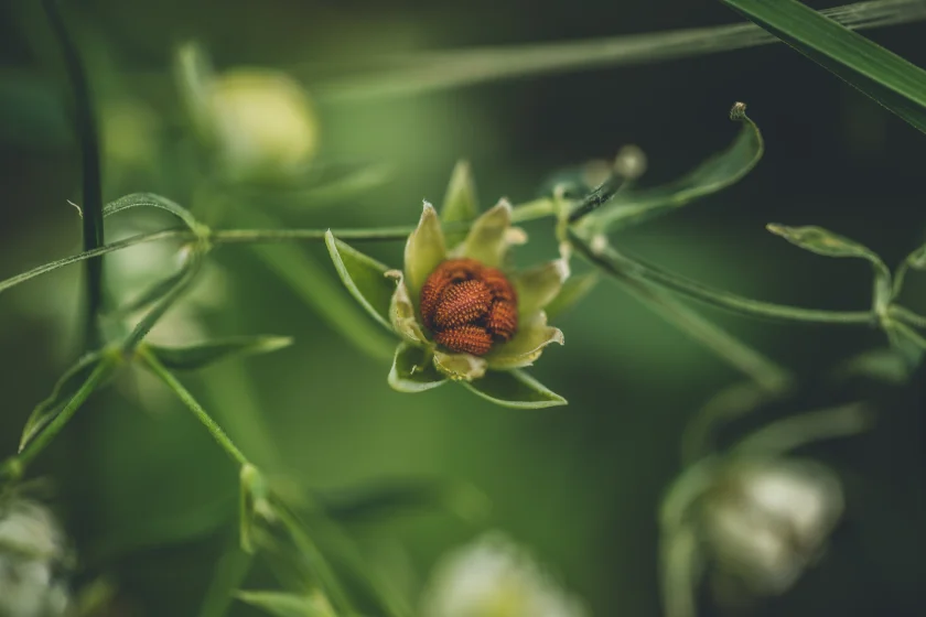 Wanderung zum Wildgehege