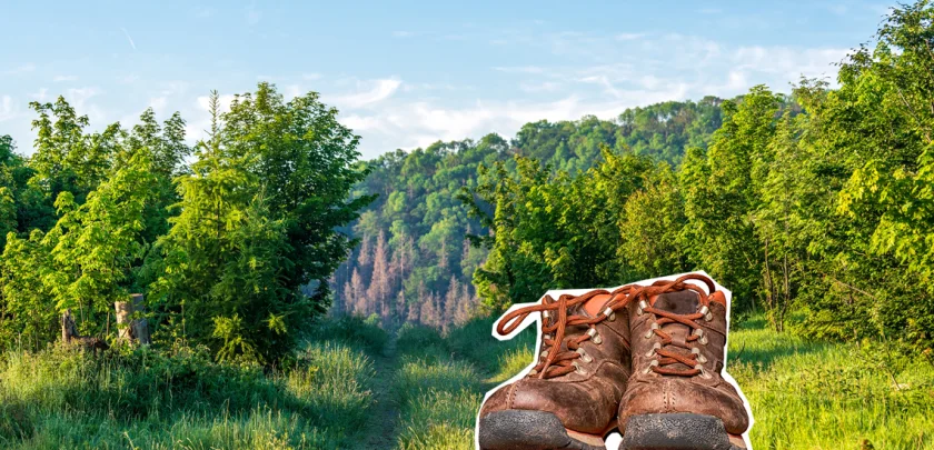 Wanderung zur Hütte am Carlshaus