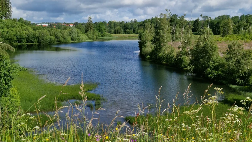 Wasser auf hohem Niveau - Entdecken Sie auf dieser Rundtour das beeindruckende Graben- und Teichsystem.
