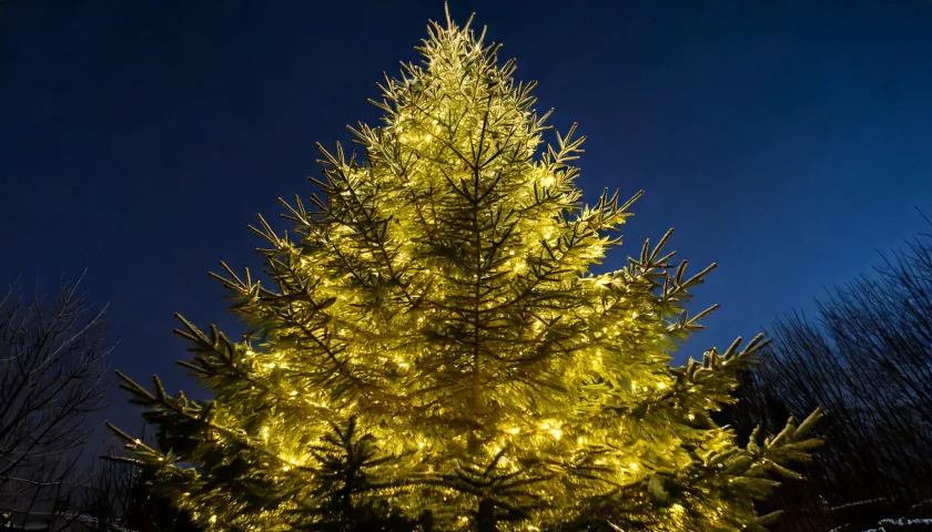 Weihnachtsleuchten