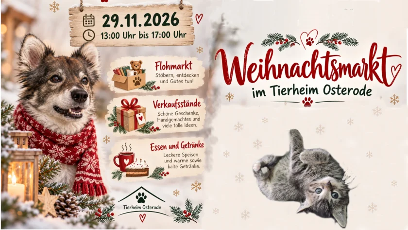 Weihnachtsmarkt im Tierheim Osterode